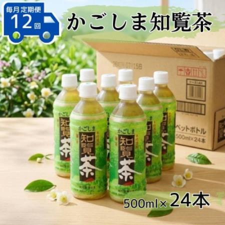 [毎月定期便]かごしま知覧茶500mlペットボトル×24本入り全12回