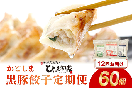 【全12回】ひぃ坊家の餃子定期便 015-20