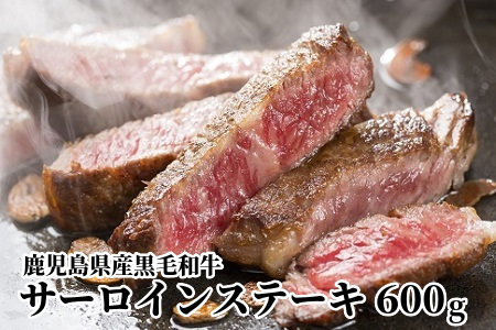 084-02 YјaT[CXe[L600g