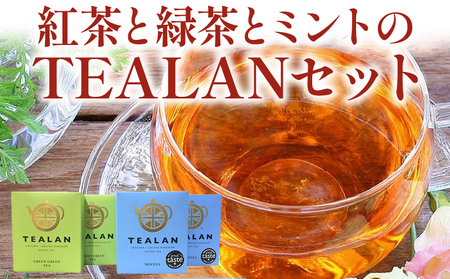 073-16 gƗΒƃ~gTEALANZbg