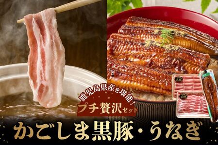 かごしま黒豚しゃぶしゃぶ用2パック・鹿児島県産ウナギ1尾のプチ贅沢セット