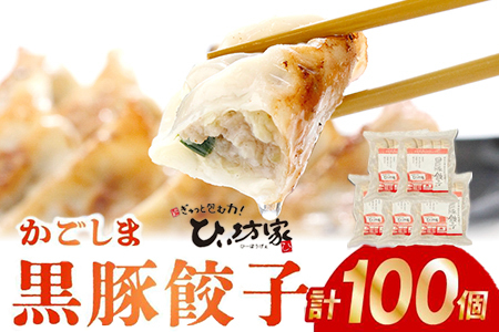 015-23 定番のかごしま黒豚餃子100個(タレ付）