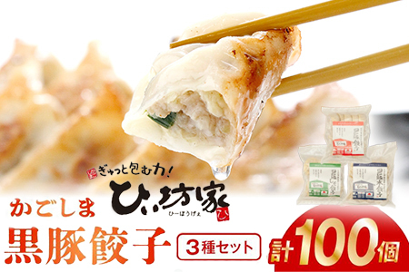015-24 ひぃ坊家の黒豚餃子3種100個(タレ付）