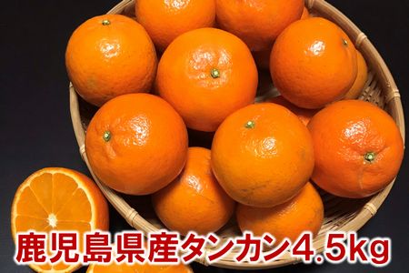 002-25 こだわりの薩摩濃密タンカン4.5kg