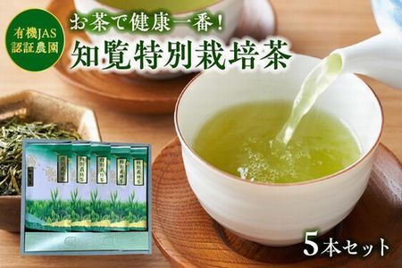 知覧特別栽培茶5袋セット
