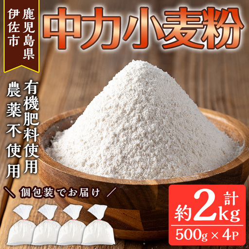 isa479[毎月数量限定]あんしん小麦粉・中力粉(約500g×4袋・計約2kg) 小麦粉 小麦 中力粉 中力小麦粉 鹿児島県 伊佐市 お菓子作り 料理 有機肥料 農薬不使用[しげふみファーム]