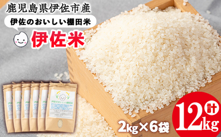 isa558 �ߘa7�N�Y �ɍ��̂��������I�c�� �q�m�q�J��(�v12kg�E2kg×6��) ���Y ���� ���� �ɍ��� 2kg ���� �� ���͂� ���� �Ђ̂Ђ��� �y�F�����H��y���z