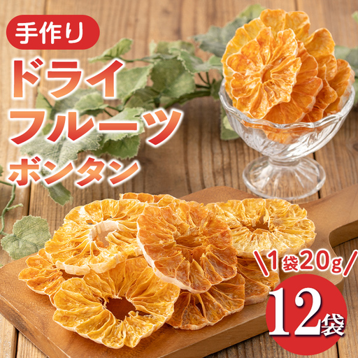 isa570 《数量限定》ドライフルーツボンタン「そのまんまドライしました。」(計12袋・各20g) ドライフルーツ ボンタン 砂糖不使用 小分け 手づくり ギフト 加工食品 果物 フルーツ ハンドメイド ギフト【薩摩美食倶楽部】