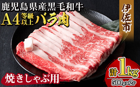 isa605 [毎月数量限定]鹿児島県産黒毛和牛 A4等級以上!バラ肉[焼きしゃぶ用]!(計1kg・500g×2パック)黒毛和牛 牛肉 国産 九州 鹿児島県 和牛 バラ肉 バラ ギフト 肉 贈り物 プレゼント 焼きしゃぶ[増元精肉店]