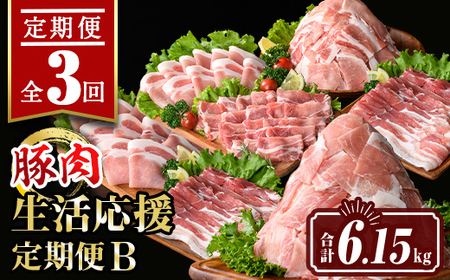 isa646 [定期便3回]豚肉生活応援定期便B(合計6.15kg) 国産 切り落とし バラスライス 肩ロース ロース しゃぶしゃぶ 生姜焼き 真空包装 真空パック 小分け ぶたにく 豚 肉 詰合せ 詰め合わせ 冷凍 [サンキョーミート株式会社]