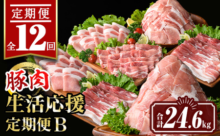 isa648 y12zؓB(v24.6kg) Y ؂藎Ƃ oXCX [X [X Ԃ IĂ ^ ^pbN  Ԃɂ   l lߍ킹
