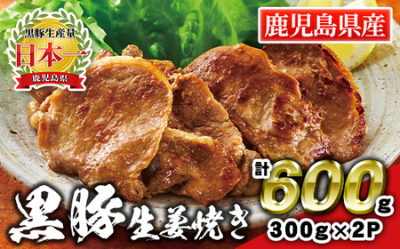  鹿児島県産 黒豚生姜焼き(計600g・300g×2パック) 黒豚 豚 ぶた 肉 ロース 生姜 味付 惣菜 夕飯 おかず 焼くだけ 簡単調理 冷凍 [財宝]