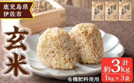 isa664 [毎月数量限定]あんしん玄米(約1kg×3袋・計約3kg) 米 玄米 お米 鹿児島県 伊佐市 健康 食物繊維 腸活 有機肥料 EM農法 [しげふみファーム]