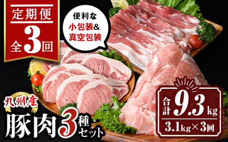 isa683 [定期便3回]小分け・真空パック!九州産豚肉3種セット(合計9.3kg・3.1kg×全3回) バラスライス ロース とんかつ 生姜焼き 真空包装 真空パック 小分け ぶたにく 豚 肉 詰合せ 詰め合わせ 食べ比べ 冷凍 [サンキョーミート株式会社]