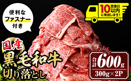 isa694 [10営業日以内に発送]黒毛和牛切り落とし (合計600g・300g×2P) 国産 真空包装 真空パック ファスナー 小分け 切落とし 牛 うし 牛肉 アウトドア BBQ 冷凍 [サンキョーミート株式会社]