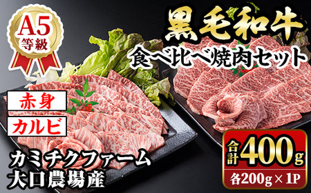 isa688 鹿児島県(カミチクファーム 大口農場)産 黒毛和牛食べ比べ焼肉セット(合計400g・赤身・カルビ各200g×1パック) 黒毛和牛 焼肉 食べ比べ セット 和牛 A5 ランク 雌牛 霜降り 赤身 肩 カルビ モモ バラ 牛肉 アウトドア 小分け 冷凍 [お肉の直売所 伊佐店]