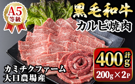 isa690 鹿児島県(カミチクファーム 大口農場)産 黒毛和牛カルビ焼肉(計400g・200g×2パック) 黒毛和牛 カルビ 焼肉 和牛 国産牛 高級肉 A5 ランク 雌牛 霜降り 旨味 口どけ 牛肉 用 BBQ バーベキュー アウトドア 冷凍 小分け [お肉の直売所 伊佐店]