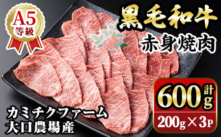isa691 鹿児島県(カミチクファーム 大口農場)産 黒毛和牛赤身焼肉(計600g・200g×3パック) 黒毛和牛 赤身 焼肉 和牛 国産牛 高級肉 A5 ランク 雌牛 牛肉 用 BBQ バーベキュー アウトドア キャンプ 高タンパク 冷凍 小分け [お肉の直売所 伊佐店]
