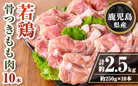 isa711 鹿児島県産 若鶏骨付きもも10本セット (計約2.5kg・約250g×10本) 鹿児島県産 鶏肉 鳥肉 もも肉 モモ肉 下処理 煮込み ロースト から揚げ 真空 真空パック アウトドア BBQ 冷凍 [TRINITY]