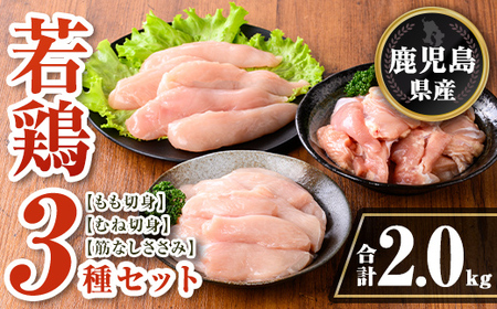 isa712 Y {3Zbg(v2kg) Y  { { {    ނ ނ˓ ؐg Jbg  TT~ ؂Ȃ Zbg lߍ킹 Ⓚ  yTRINITYz