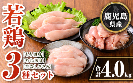 isa713 Y {3rbNZbg(v4kg) Y  { { {    ނ ނ˓ ؐg Jbg  TT~ ؂Ȃ Zbg lߍ킹 Ⓚ  yTRINITYz