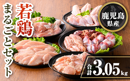 isa717 Y {܂邲ƃZbg(v3.05kg) Y  ^pbN {    ނ˓ l   TT~ ؂Ȃ   H H H  