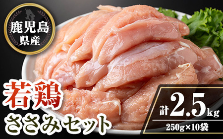 isa714 Y{݃Zbg(v2.5kgE250g×10P) Y Y {  Ƃ  wV[ _CGbg ς ^pN  ^ yTRINITYz