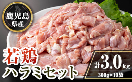 isa716 Y{n~Zbg(v3kgE300g×10P) Y Y {  Ƃ n~ 󏭕 YΏĂ ē BBQ uߗ ܂ ^  yTRINITYz