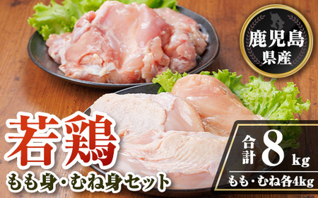 isa720 Y{gEނːgZbg(v8kgEe1kg×4P) Y Y {  Ƃ  ނ˓  l Jbg g `L T_`L __{ ς ^