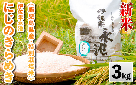 isa744 [数量限定]令和7年産 新米 特別栽培米 伊佐米永池 にじのきらめき(3kg) 伊佐市 永池 特産品 お米 米 白米 精米 伊佐米 にじのきらめき 3kg [エコファーム永池]