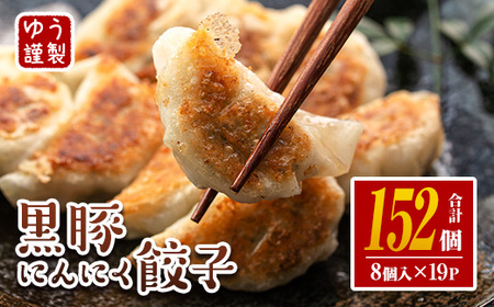 isa781 2025年12月発送分 黒豚 にんにく餃子 計152個 8個入り 19P [工房ゆう]