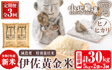 isa791 sʌE3ցtߘa7NY k_̐V ɍāqqmqJr(v30kgE5kg×2×3)  ɍ V  30kg  3 ʍ͔| ɍ  qmqJ Ђ̂Ђ