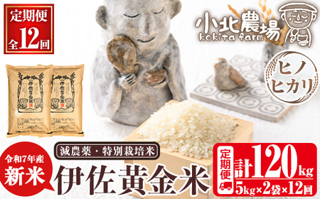 isa793 sʌE12ցtߘa7NY k_̐V ɍāqqmqJr(v120kgE5kg×2×12)  ɍ V  120kg  12 ʍ͔| ɍ  qmqJ Ђ̂