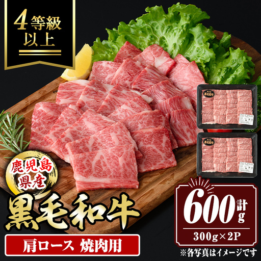 isa881 鹿児島県産黒毛和牛 肩ロース焼肉用(計600g・300g×2P) 4等級以上! 国産 牛肉 霜降り 国産 牛肉 霜降り 家庭用 冷凍 [サンキョーミート]