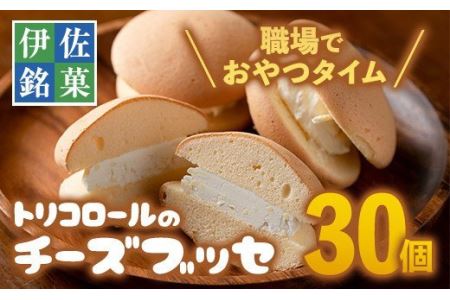  伊佐銘菓!トリコロールのチーズブッセ(30個) 伊佐市 特産品 お菓子 洋菓子 スイーツ おやつ 冷凍 冷凍便[ケーキハウストリコロール]