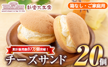 isa145 ƒp`[YTh(Ȃ)20 mَq ubZ `[Y o^[ N[ Th َq  ȈՕ yVx吶z