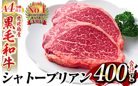 a271 A4 ȏ YјaEVg[uA4(v400g)yzY  󏭕 tB Xe[L