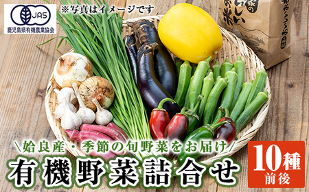 a967 姶良産 有機野菜の詰合せセット(10種前後)[今村農園]姶良市 国産 鹿児島県 野菜 やさい 旬 有機栽培 詰め合わせ 春 夏 秋 冬 季節