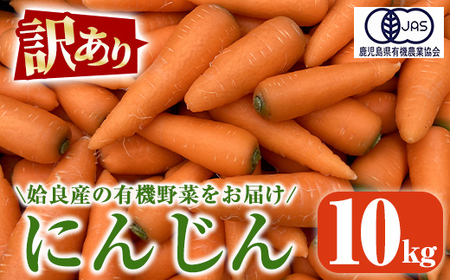 a992 [訳あり][先行予約受付中!2025年12月上旬〜2026年3月上旬迄に発送予定]有機人参 (10kg)[今村農園]姶良市 国産 有機栽培 有機 野菜 やさい にんじん ニンジン 訳アリ