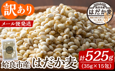 a1029 [訳あり]姶良市産はだか麦35g×15包(合計525g)[竹之内穀類産業]姶良市 国産 ご飯 麦ごはん はだか麦 穀物 食物繊維 小分け 常温 常温保存 メール便