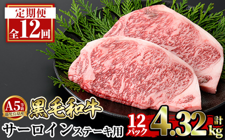 a853-G y12ցzA5⎭YјaT[C2(12Pv4.32kg) Mtgy{Yzǎs Y  Xe[L Xe[L a