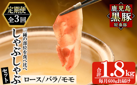 a005-A [3回定期便]鹿児島黒豚「短鼻豚」しゃぶしゃぶセット計1.8kg(600g×3回)(ロース肉・バラ肉・モモ肉)[鹿児島ますや]姶良市 国産 鹿児島県 肉 豚 豚肉 黒豚 スライス しゃぶしゃぶ セット 小分け 食べ比べ