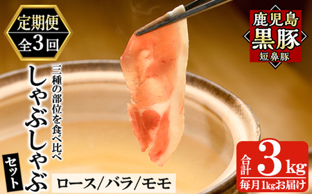 a039-A y3ցz؁uZ@؁vԂԃZbgv3kg(1kg×3)([XEoE)y܂zǎs Y    ؓ  XCX Ԃ Zbg