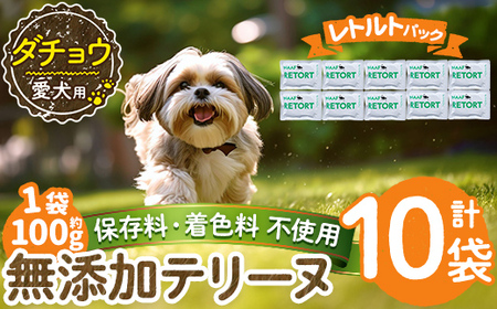 a1090-D ＜保存料・着色料 不使用＞愛犬用無添加テリーヌ レトルトパック ダチョウテリーヌ10袋(1袋約100g・合計約1kg)【Nフードサービス】姶良市 ダチョウ テリーヌ 犬 ドッグ ペット フード エサ レトルト おやつ ごはん ご飯 間食 ご褒美