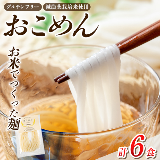 a1101-A おこめん(中麺) 1食100g(計6食)[アグリベースAIRA]姶良市 麺 お米麺 グリテンフリー