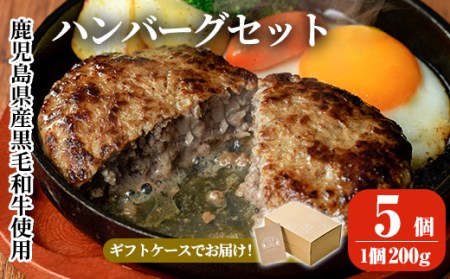 a750 鹿児島県産黒毛和牛ハンバーグセット(200g×5パック)[AKR Food Company]