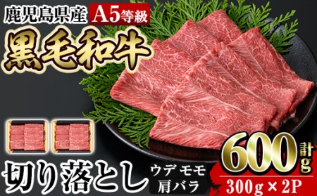 a855 ≪A5等級≫鹿児島県産黒毛和牛切り落とし計600g(300g×2P)[水迫畜産]