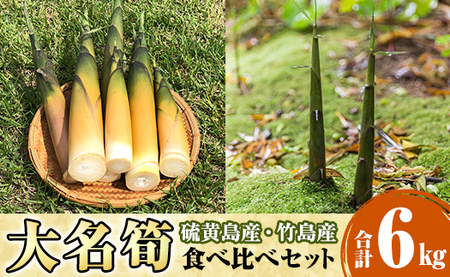[先行予約受付中!2026年5月初旬以降順次発送予定]大名筍3kg(硫黄島産)&大名筍3kg(竹島産)の食べ比べセット[いおう・NPO法人みしまですよ]三島村 たけのこ タケノコ 皮付き 産地直送 採れたて 野菜 旬 新鮮 煮物 味噌汁 炊き込みご飯