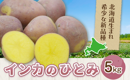 インカのひとみ 5kg じゃがいも 飯山農場[30日以内に出荷予定(土日祝除く)]芋 ジャガイモ 野菜 送料無料 北海道 浦幌町