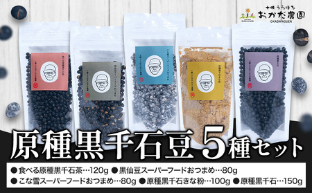 北海道 浦幌産 原種黒千石豆 5種セット スーパーフード 黒豆 きな粉 茶 十勝